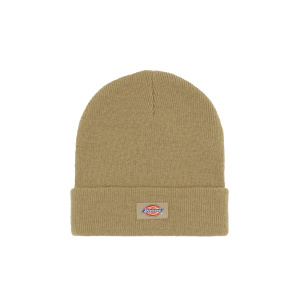 Мужская шапка Dickies GIBSLAND BEANIE
