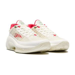 Мужские кроссовки Anta FLASH DUALS 6