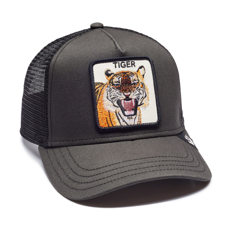 Кепка Goorin brothers EYE OF THE TIGER