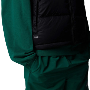 Женская жилетка The North Face 1996 RETRO NUPTSE VEST