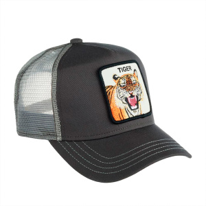 Кепка Goorin brothers EYE OF THE TIGER