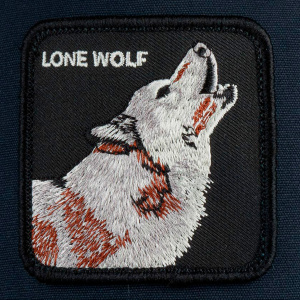 Кепка Goorin brothers WOLF