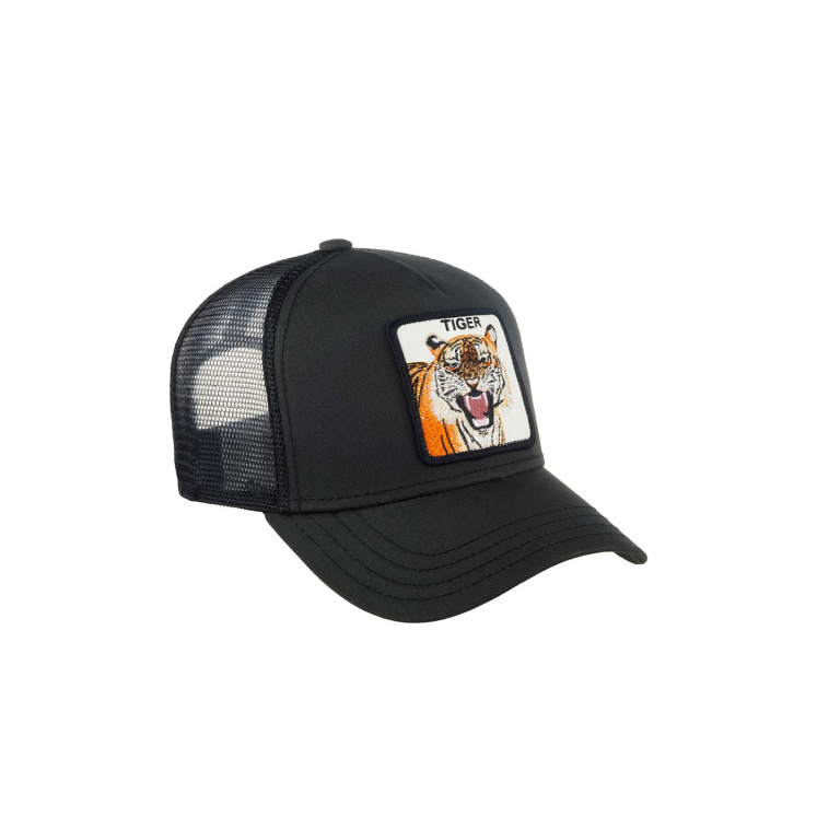 Кепка Goorin brothers Eye of the Tiger