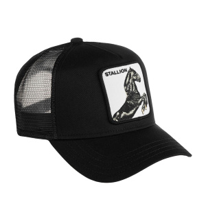 Кепка Goorin brothers BLACK STALLION