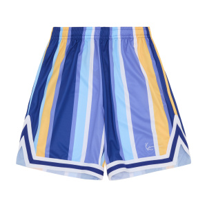Мужские шорты Karl Kani SMALL SIGNATURE STRIPED MESH SHORTS