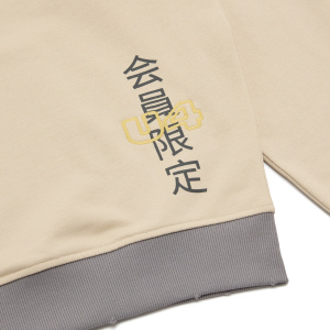 Мужская толстовка UNITED 4 HOODIE