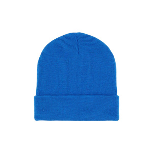 Мужская шапка Dickies GIBSLAND BEANIE
