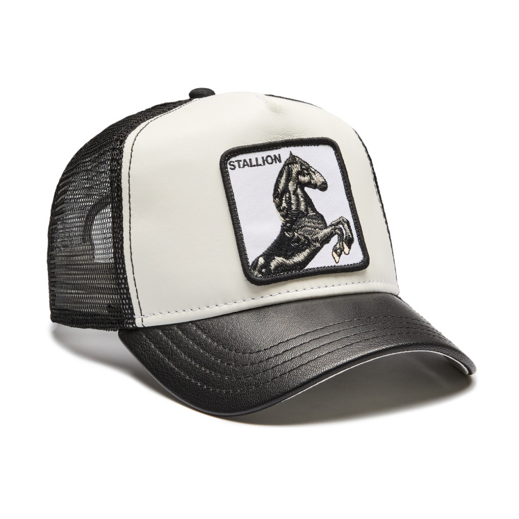 Кепка Goorin brothers Great Stallion