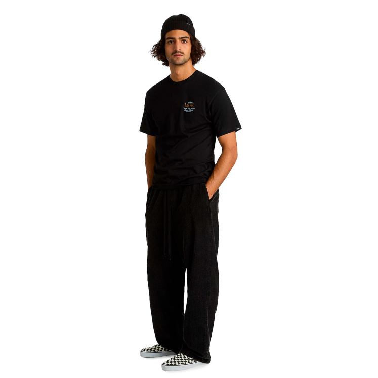 Мужская футболка Vans MN HOLDER ST CLASSIC