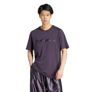 Мужская футболка adidas GRAPHIC TEE