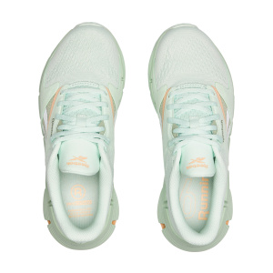 Женские кроссовки Reebok ZIG DYNAMICA 5