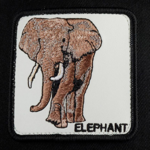 Кепка Goorin brothers ELEPHANT