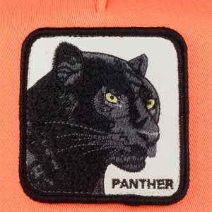 Кепка Goorin brothers THE PANTHER