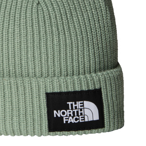 Мужская шапка The North Face SALTY LINED BEANIE