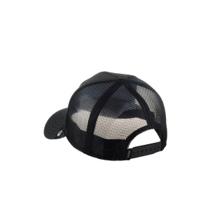 Кепка Goorin brothers Eye of the Tiger