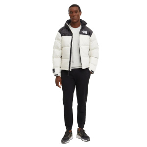 Мужская куртка The North Face 1996 RETRO NUPTSE JACKET