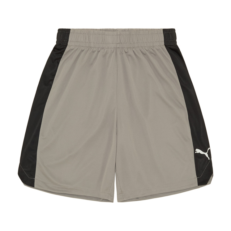 Мужские шорты PUMA Shot Blocker Short