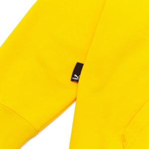 Мужская толстовка PUMA SWxP Graphic Hoodie TR