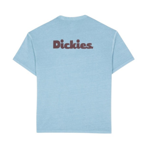 Мужская футболка Dickies SLAYDEN GD TEE SS