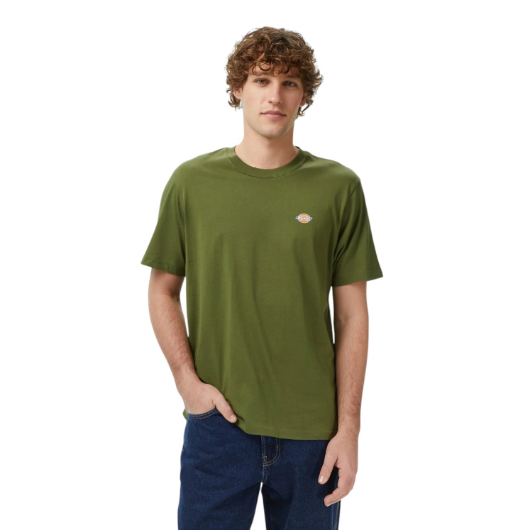 Мужская футболка Dickies MAPLETON SS TEE