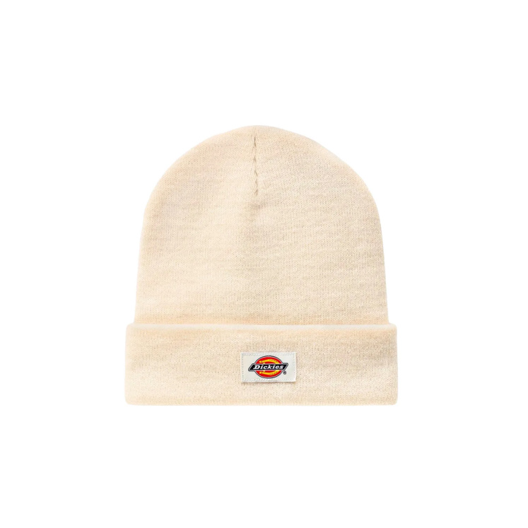 Мужская шапка Dickies GIBSLAND BEANIE