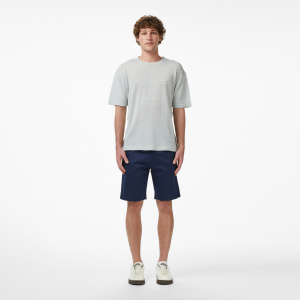 Мужские шорты Lacoste BERMUDA