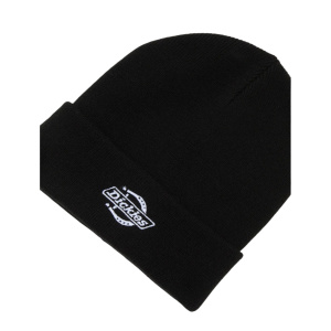 Мужская шапка Dickies SUMMERDALE BEANIE
