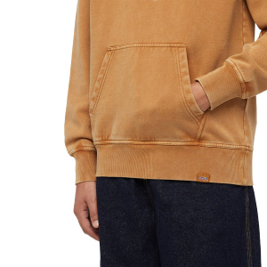 Мужская толстовка Dickies PLENTYWOOD HOODIE