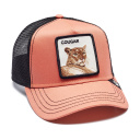 Разноцветный