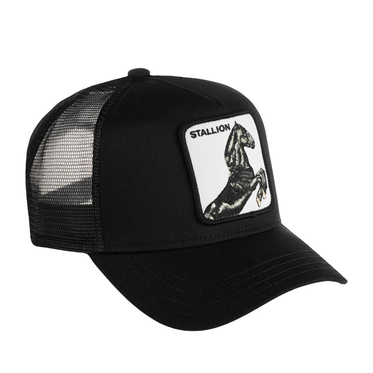 Кепка Goorin brothers BLACK STALLION
