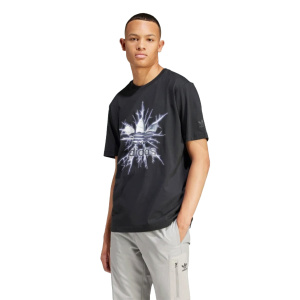 Мужская футболка adidas GRAPHIC TEE