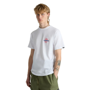 Мужская футболка Vans WORMHOLE WARPED SS TEE