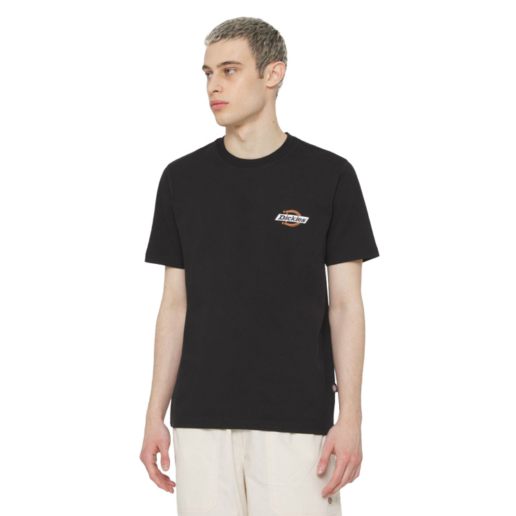 Мужская футболка Dickies SS RUSTON TEE