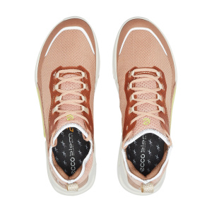 Женские кроссовки ECCO BIOM 2.1 X COUNTRY
