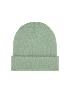 Мужская шапка Dickies GIBSLAND BEANIE