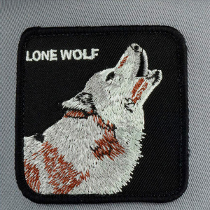 Кепка Goorin brothers WOLF