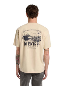 Мужская футболка Dickies PELHAM TEE SS