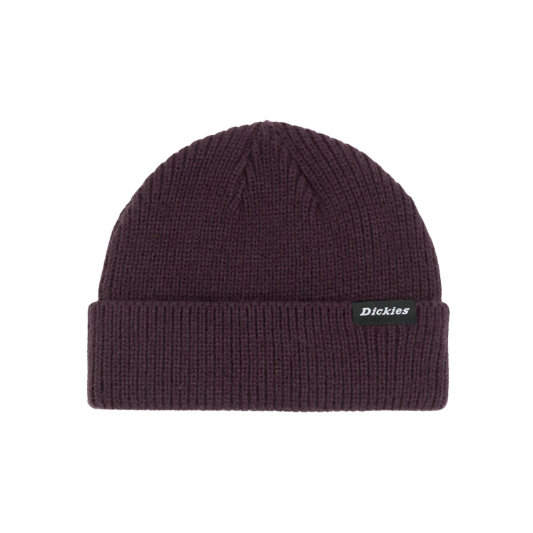 Мужская шапка Dickies WOODWORTH BEANIE