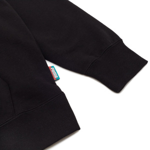 Мужская толстовка PUMA Fandom Hoodie TR