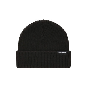 Мужская шапка Dickies WOODWORTH BEANIE