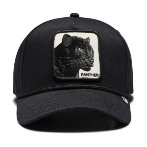 Кепка Goorin brothers Panther 100