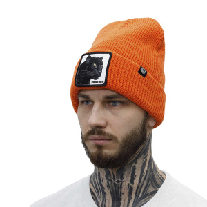 Шапка Goorin brothers PANTHER VISION