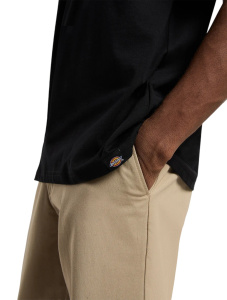 Мужская футболка Dickies SNEEDVILLE TEE SS