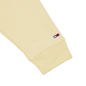 Женская толстовка Tommy Jeans OVERSIZED TOMMY SIGNATURE HOODIE