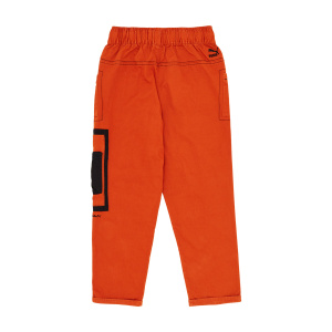 Мужские спортивные штаны PUMA WAL WKR WR Pants Warm Chestnut