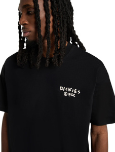 Мужская футболка Dickies SNEEDVILLE TEE SS
