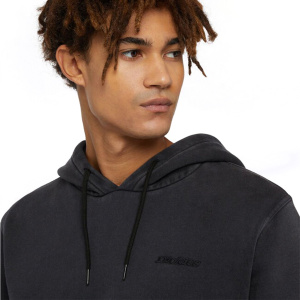 Мужская толстовка Dickies PLENTYWOOD HOODIE
