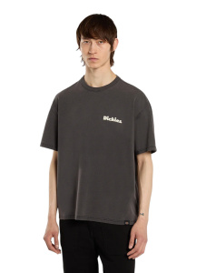 Мужская футболка Dickies SLAYDEN GD TEE SS