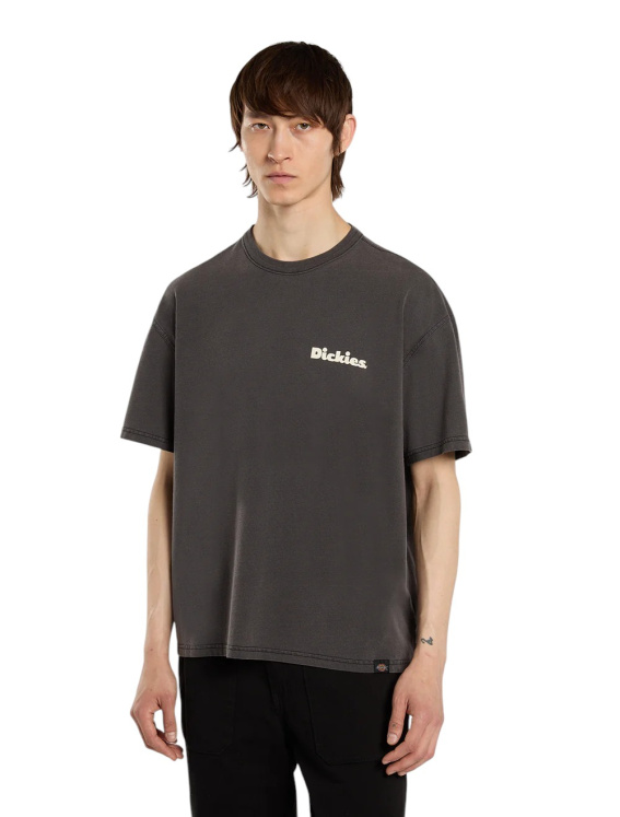 Мужская футболка Dickies SLAYDEN GD TEE SS