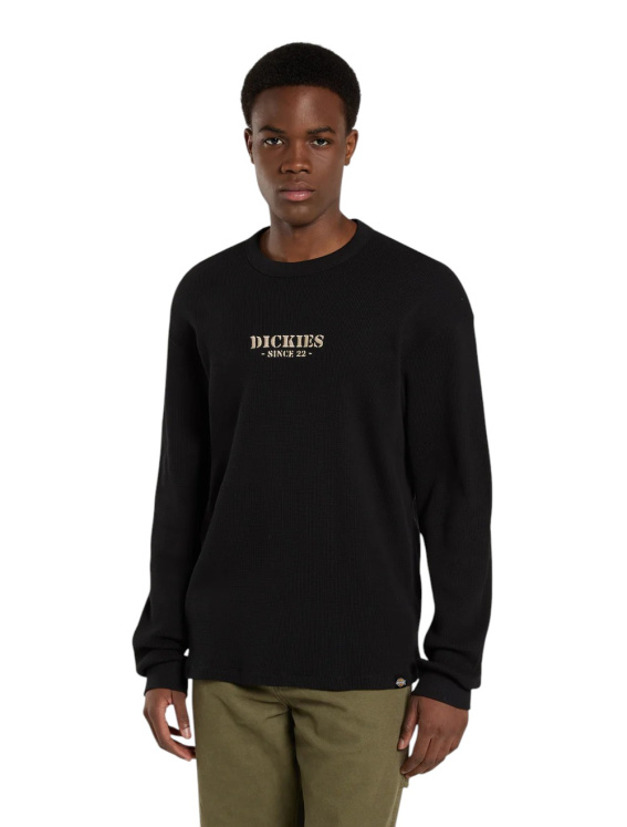 Мужской лонгслив Dickies WAFFLE TEE LS